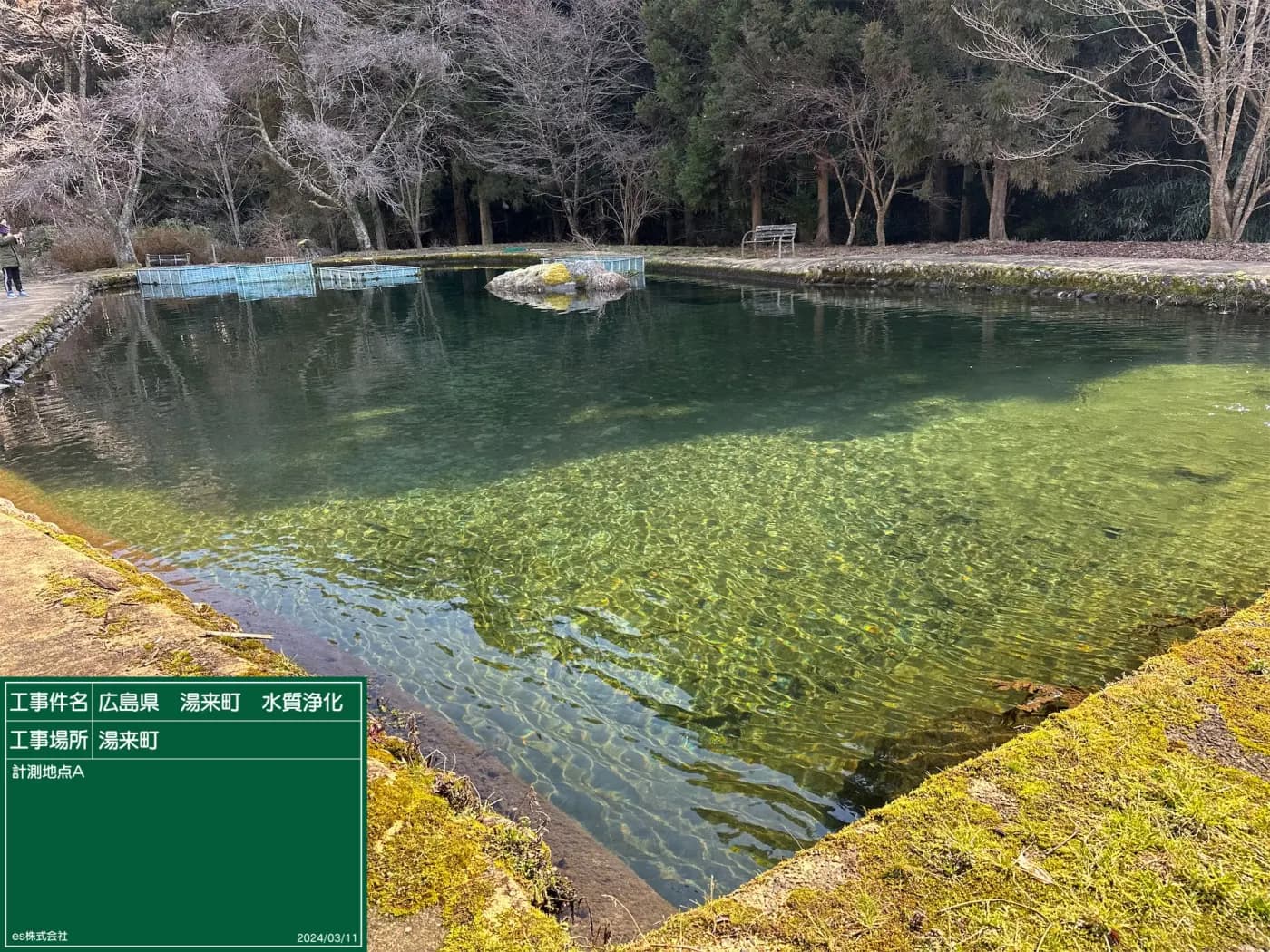 広島県湯来町の太田川源流における2024年3月の記録写真