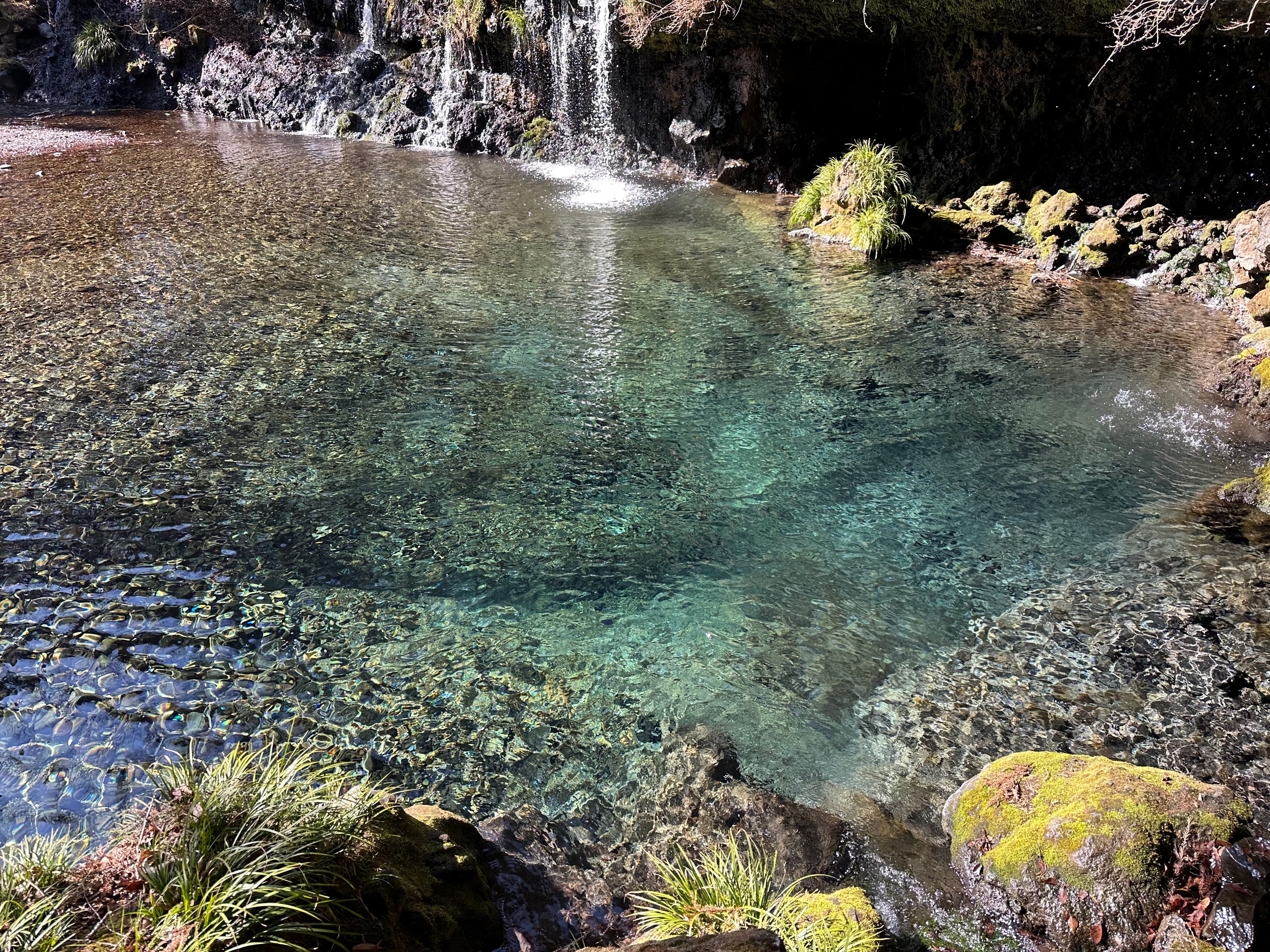 美しい水源地